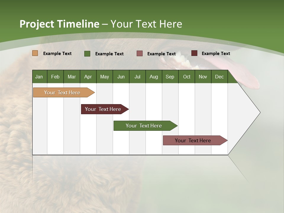 A Brown Dog Sitting On Top Of A Green Field PowerPoint Template