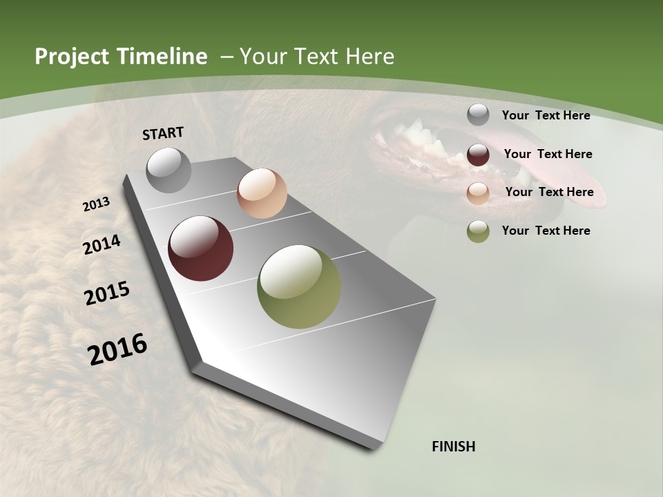 A Brown Dog Sitting On Top Of A Green Field PowerPoint Template