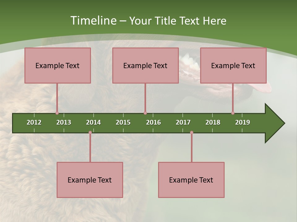 A Brown Dog Sitting On Top Of A Green Field PowerPoint Template