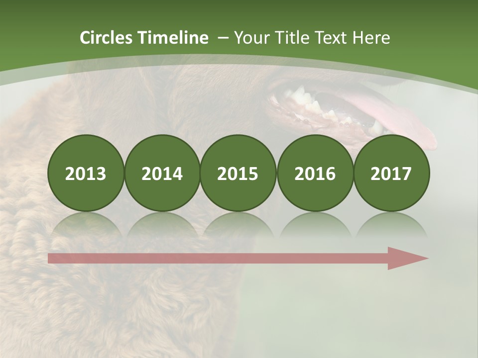 A Brown Dog Sitting On Top Of A Green Field PowerPoint Template