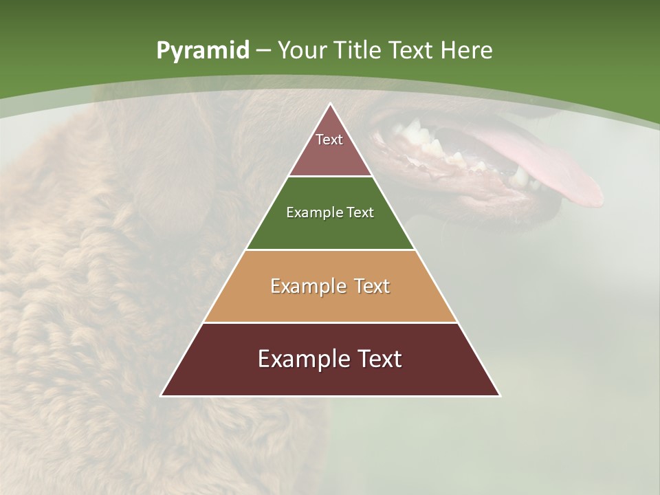 A Brown Dog Sitting On Top Of A Green Field PowerPoint Template