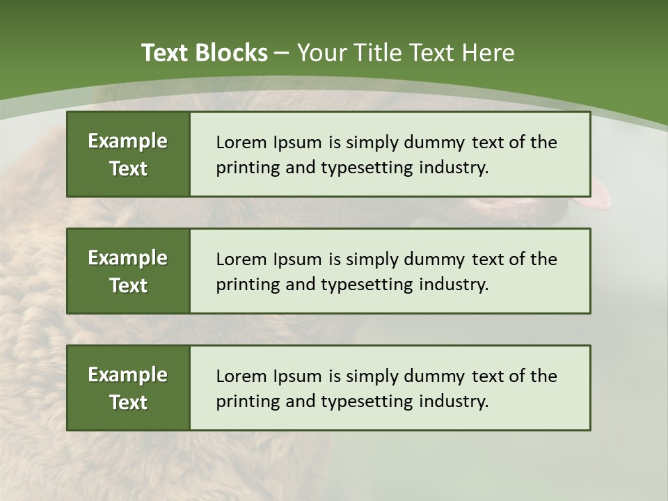A Brown Dog Sitting On Top Of A Green Field PowerPoint Template