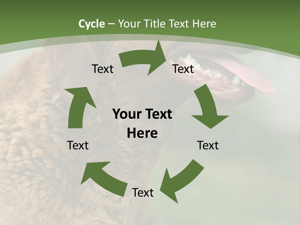 A Brown Dog Sitting On Top Of A Green Field PowerPoint Template