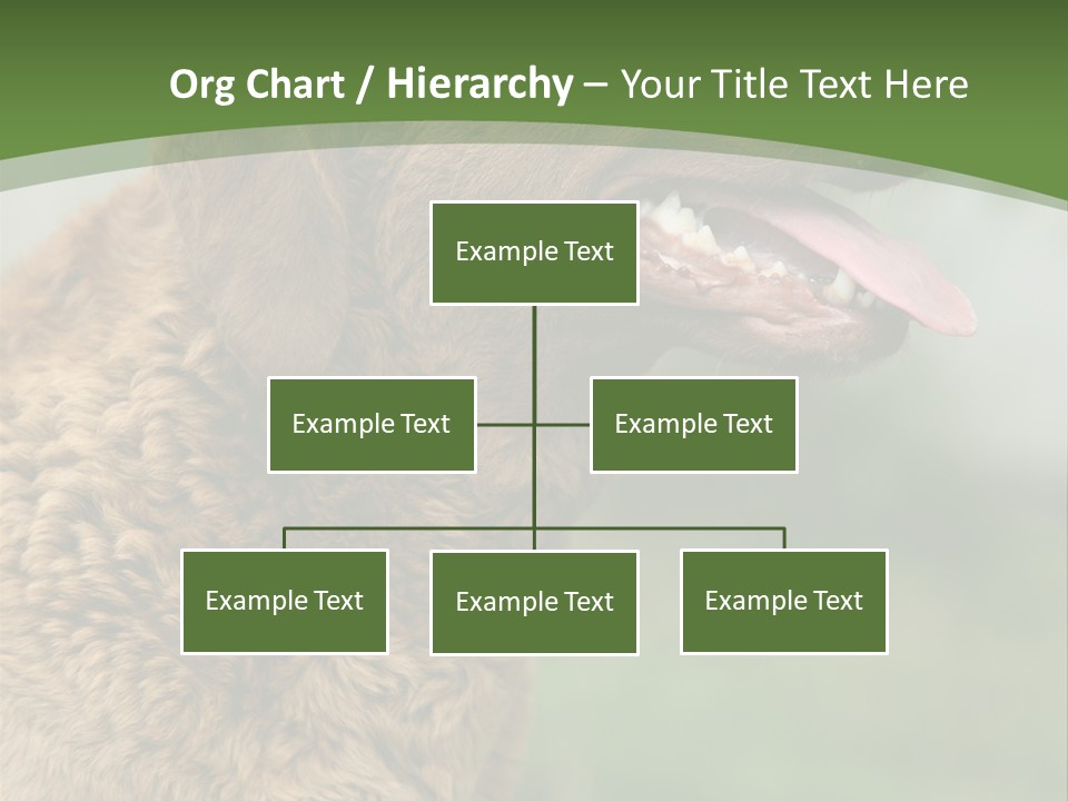 A Brown Dog Sitting On Top Of A Green Field PowerPoint Template