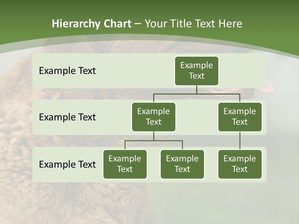 A Brown Dog Sitting On Top Of A Green Field PowerPoint Template