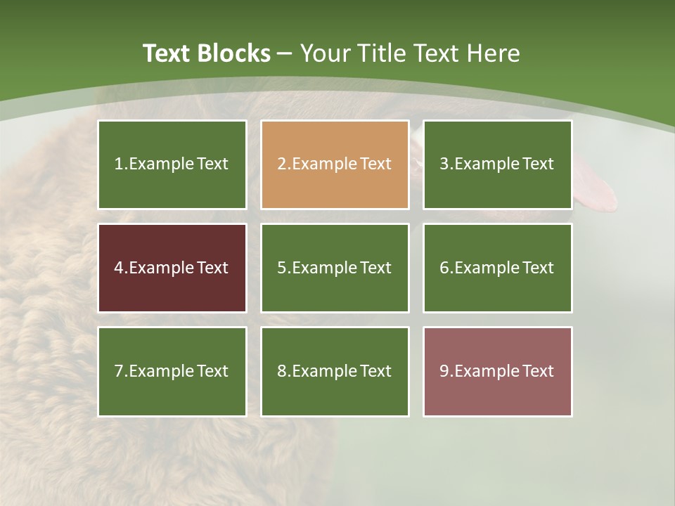 A Brown Dog Sitting On Top Of A Green Field PowerPoint Template