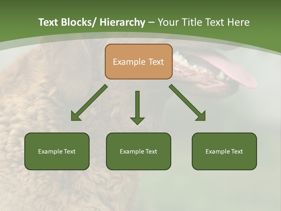 A Brown Dog Sitting On Top Of A Green Field PowerPoint Template