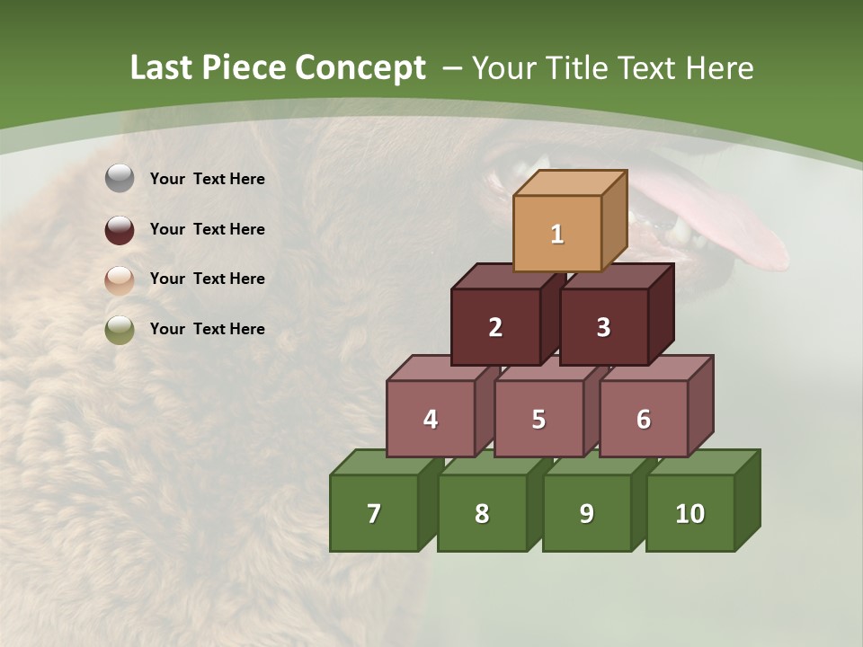 A Brown Dog Sitting On Top Of A Green Field PowerPoint Template