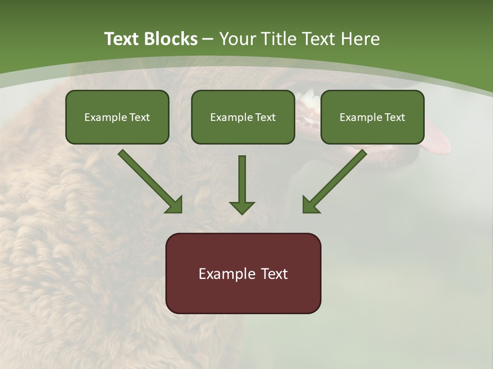 A Brown Dog Sitting On Top Of A Green Field PowerPoint Template
