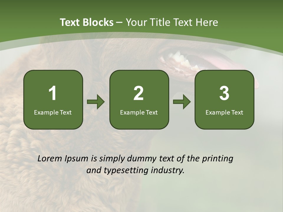 A Brown Dog Sitting On Top Of A Green Field PowerPoint Template