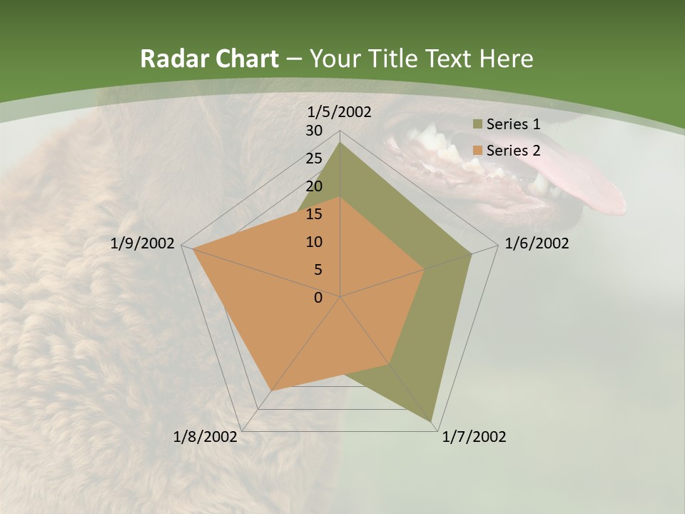 A Brown Dog Sitting On Top Of A Green Field PowerPoint Template