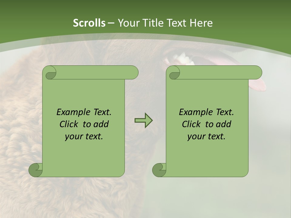 A Brown Dog Sitting On Top Of A Green Field PowerPoint Template