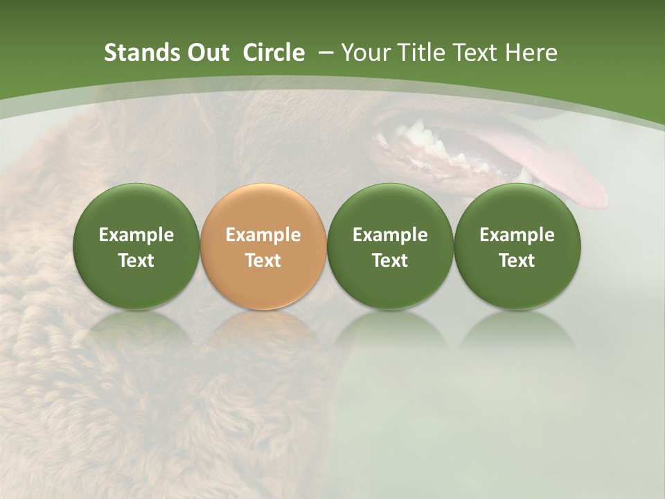 A Brown Dog Sitting On Top Of A Green Field PowerPoint Template