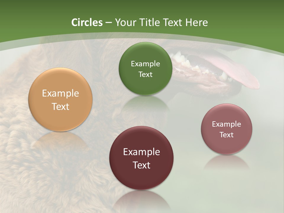 A Brown Dog Sitting On Top Of A Green Field PowerPoint Template