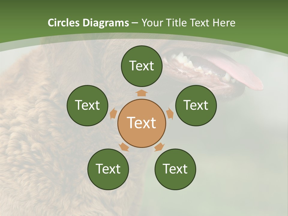 A Brown Dog Sitting On Top Of A Green Field PowerPoint Template