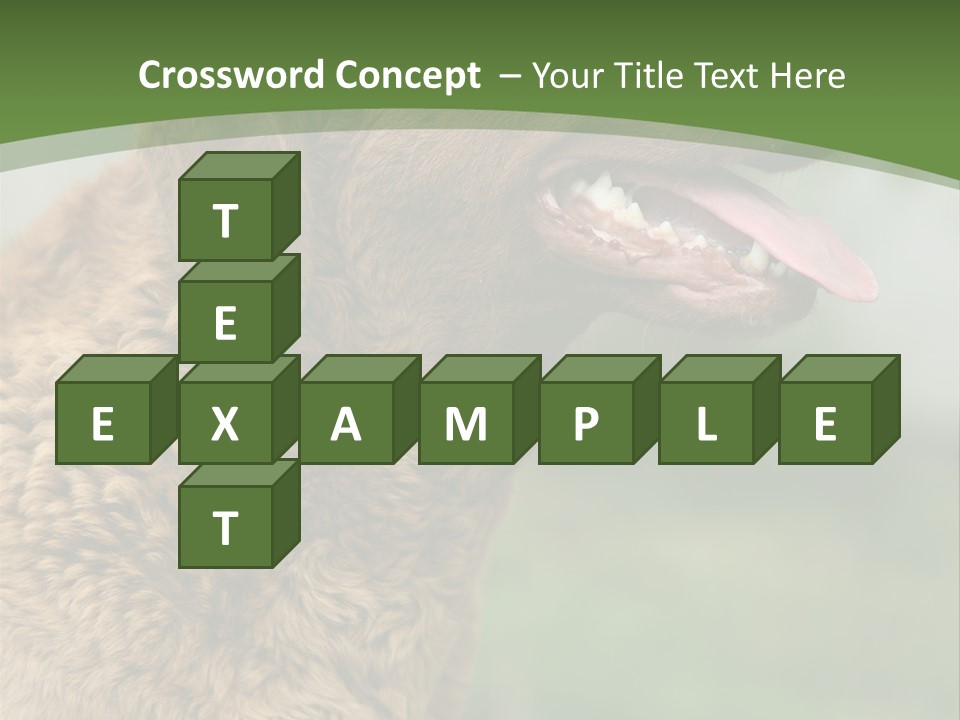 A Brown Dog Sitting On Top Of A Green Field PowerPoint Template