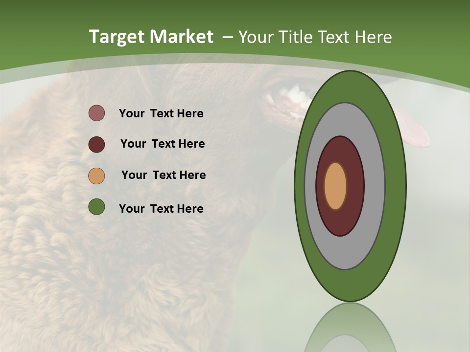 A Brown Dog Sitting On Top Of A Green Field PowerPoint Template