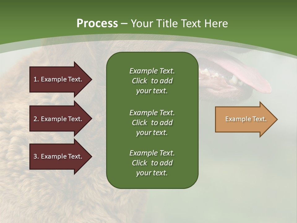 A Brown Dog Sitting On Top Of A Green Field PowerPoint Template