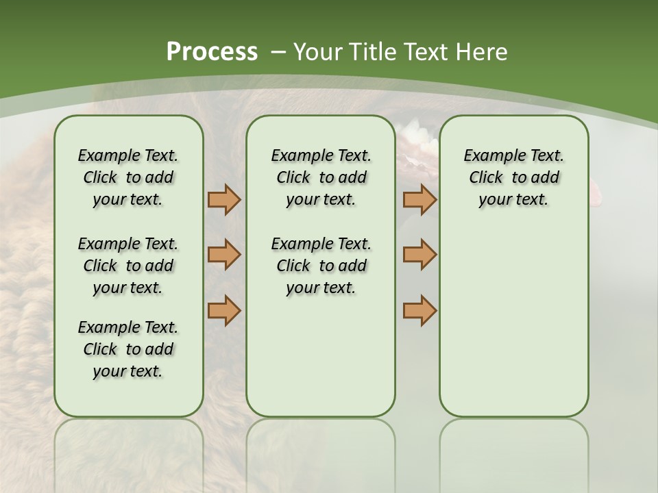 A Brown Dog Sitting On Top Of A Green Field PowerPoint Template