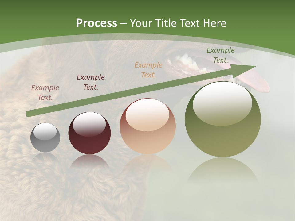 A Brown Dog Sitting On Top Of A Green Field PowerPoint Template