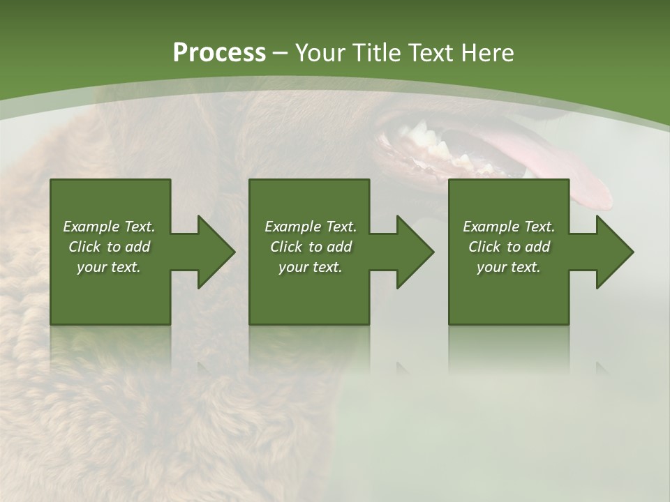 A Brown Dog Sitting On Top Of A Green Field PowerPoint Template