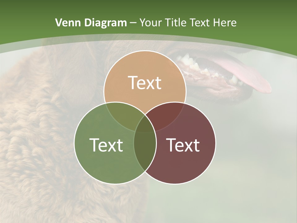 A Brown Dog Sitting On Top Of A Green Field PowerPoint Template