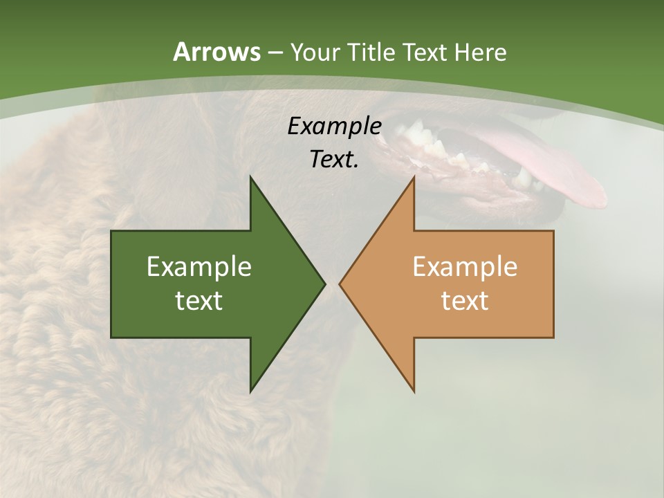 A Brown Dog Sitting On Top Of A Green Field PowerPoint Template
