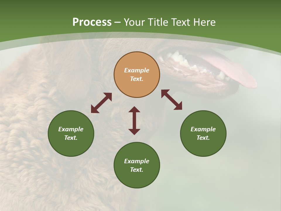 A Brown Dog Sitting On Top Of A Green Field PowerPoint Template