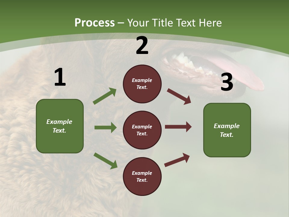 A Brown Dog Sitting On Top Of A Green Field PowerPoint Template