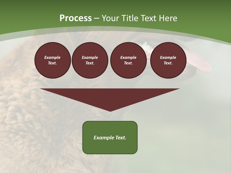 A Brown Dog Sitting On Top Of A Green Field PowerPoint Template