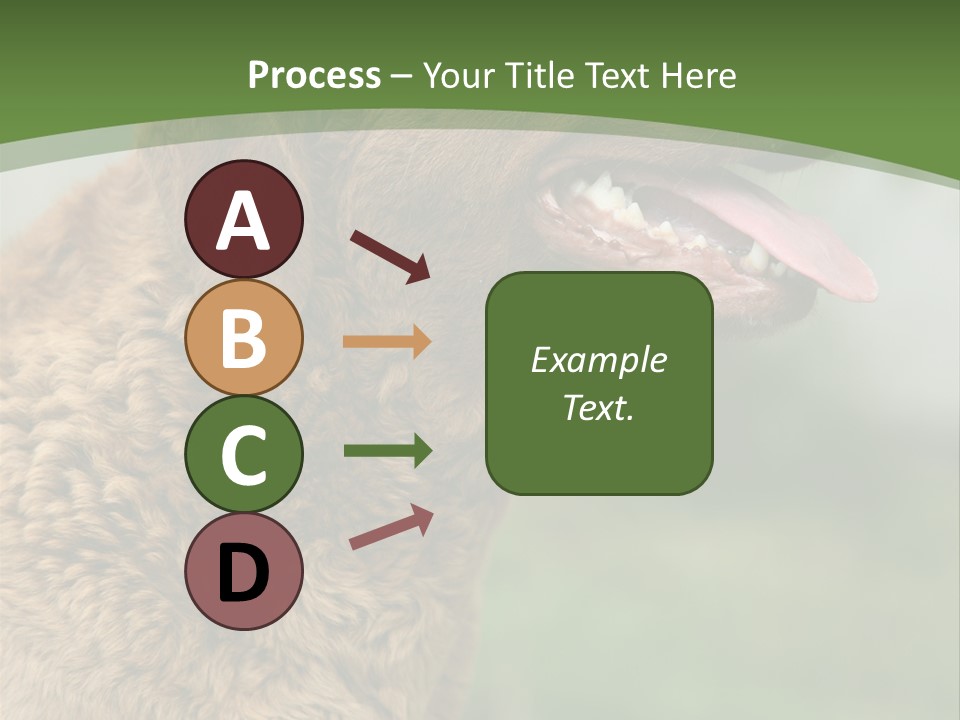 A Brown Dog Sitting On Top Of A Green Field PowerPoint Template