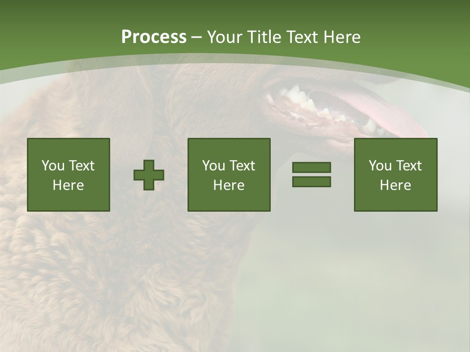 A Brown Dog Sitting On Top Of A Green Field PowerPoint Template