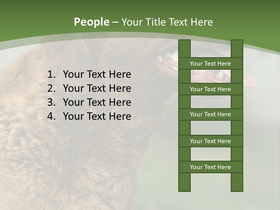 A Brown Dog Sitting On Top Of A Green Field PowerPoint Template