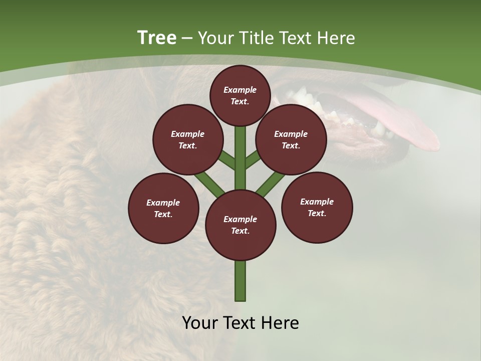 A Brown Dog Sitting On Top Of A Green Field PowerPoint Template