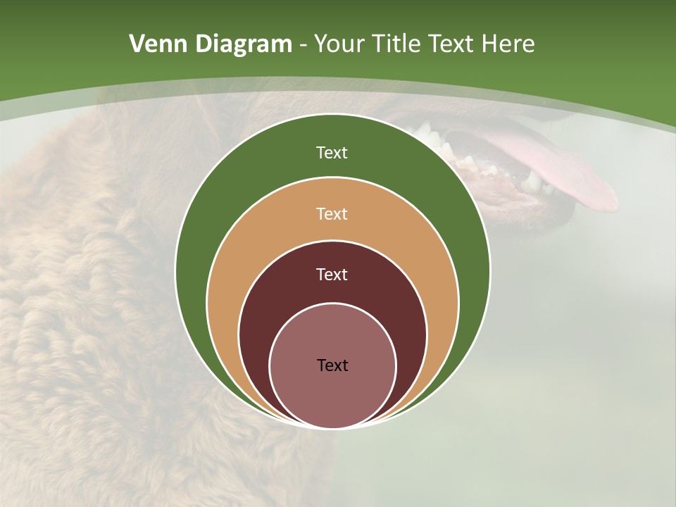 A Brown Dog Sitting On Top Of A Green Field PowerPoint Template