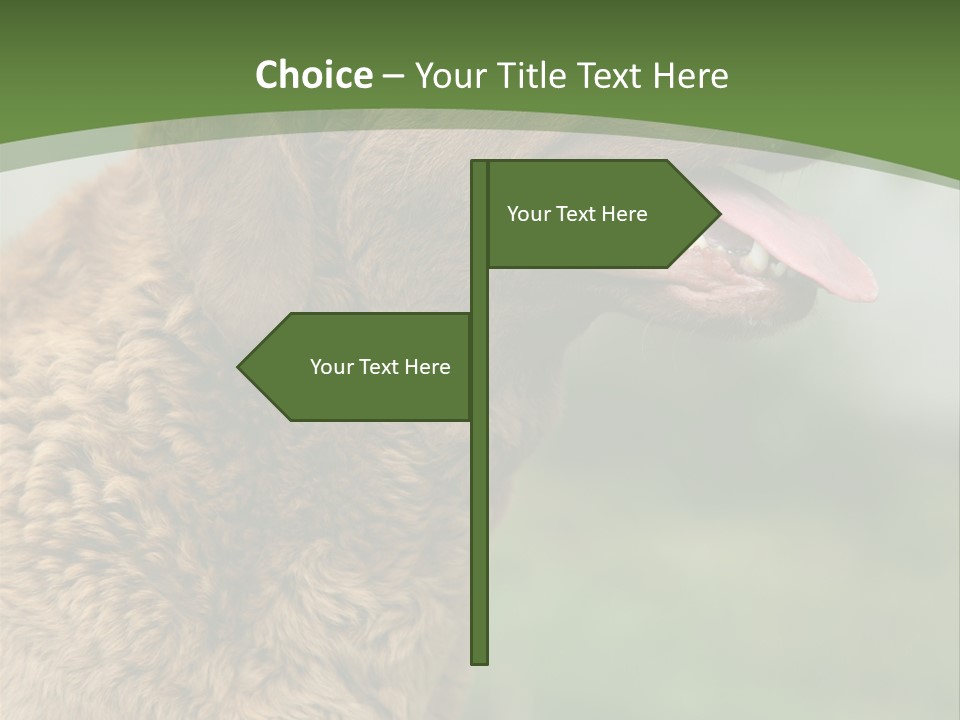 A Brown Dog Sitting On Top Of A Green Field PowerPoint Template