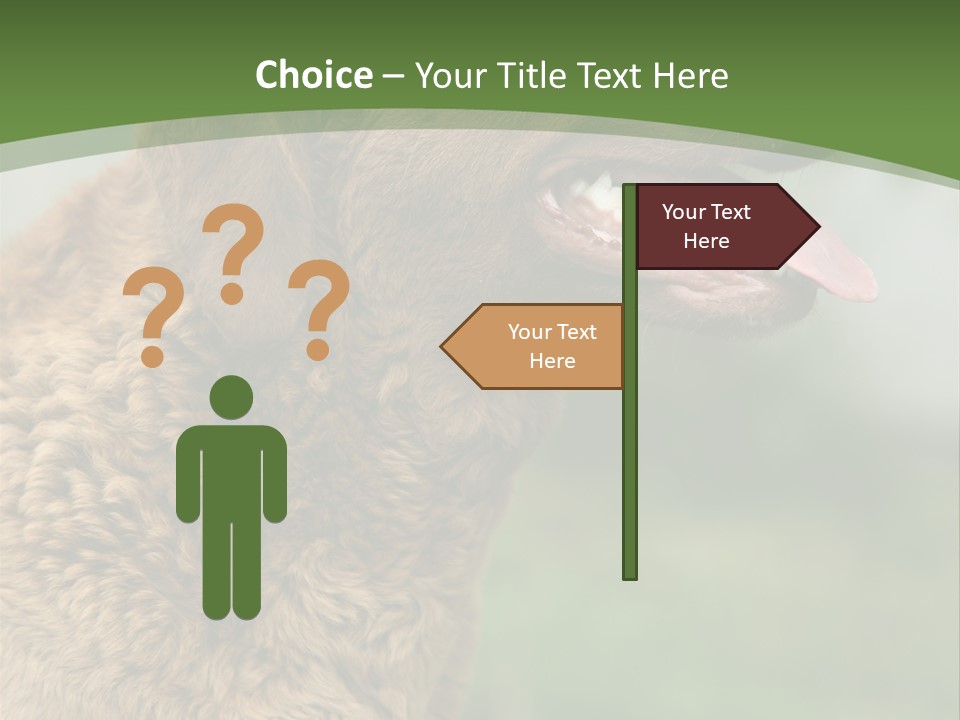 A Brown Dog Sitting On Top Of A Green Field PowerPoint Template