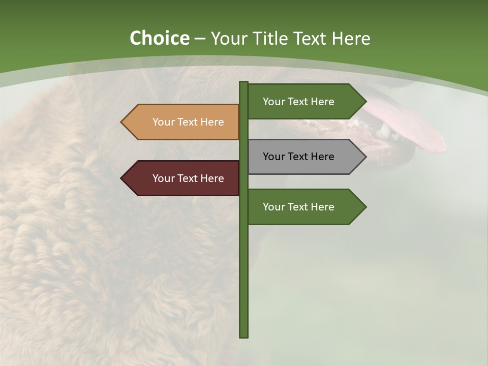 A Brown Dog Sitting On Top Of A Green Field PowerPoint Template
