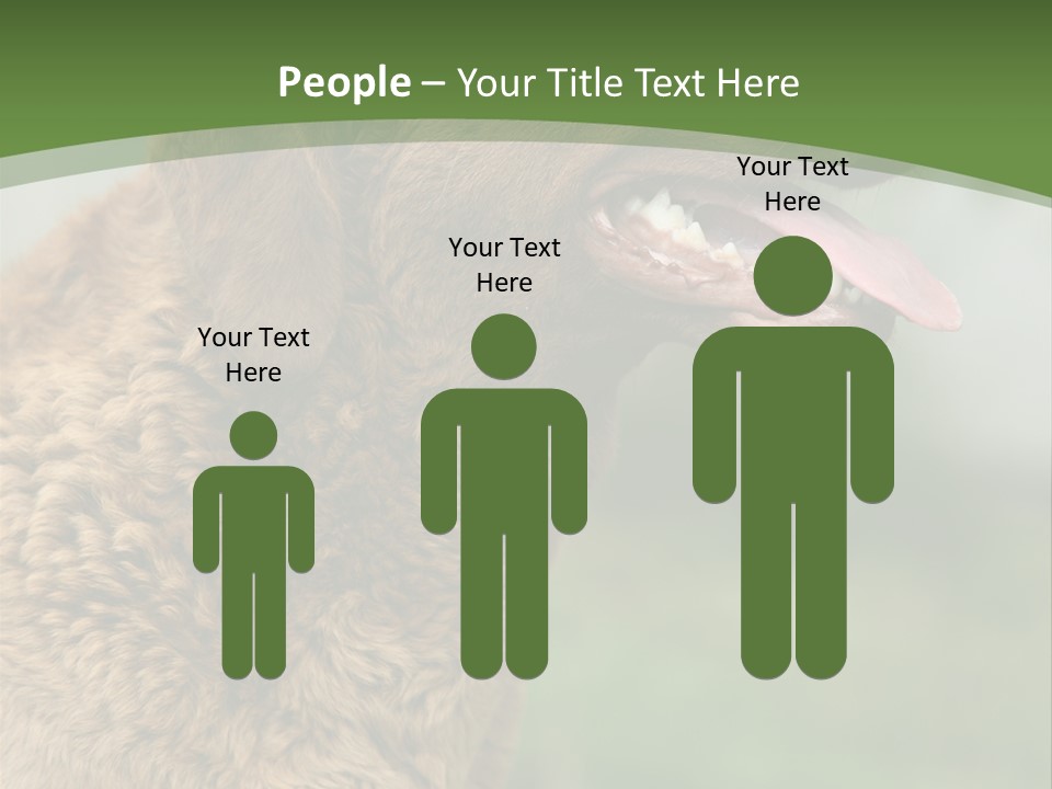 A Brown Dog Sitting On Top Of A Green Field PowerPoint Template