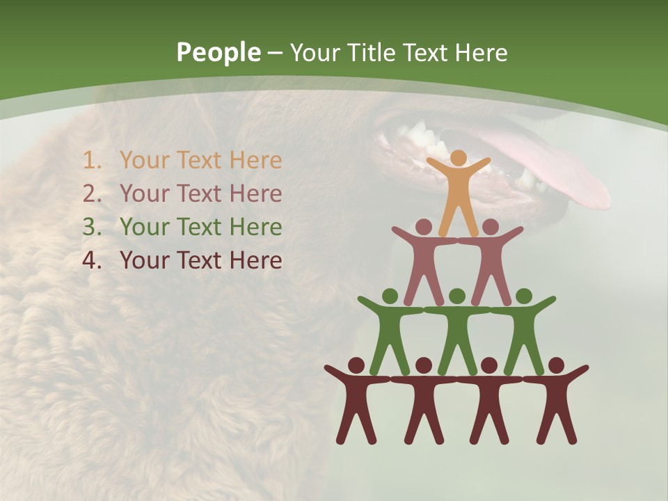 A Brown Dog Sitting On Top Of A Green Field PowerPoint Template