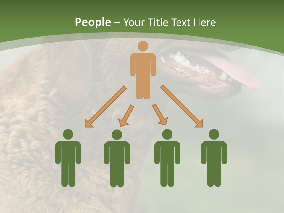 A Brown Dog Sitting On Top Of A Green Field PowerPoint Template