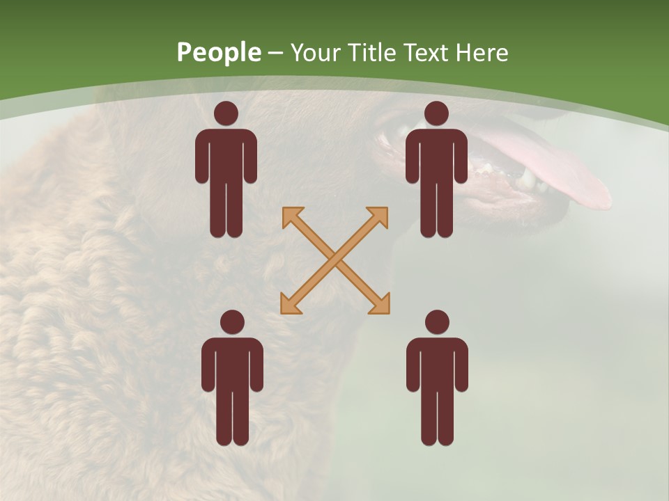 A Brown Dog Sitting On Top Of A Green Field PowerPoint Template