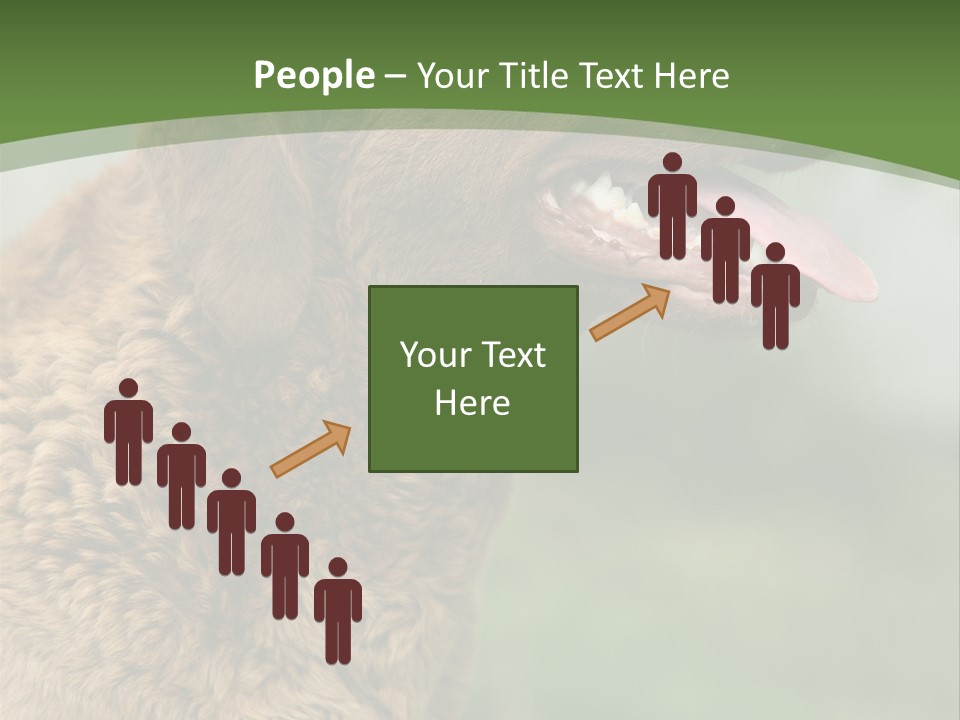 A Brown Dog Sitting On Top Of A Green Field PowerPoint Template