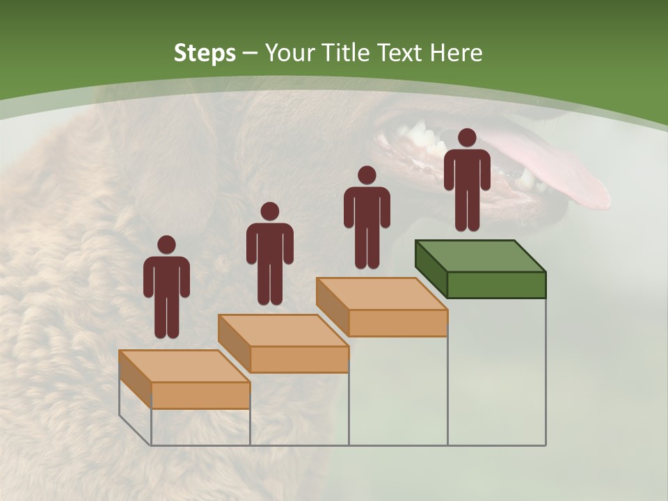 A Brown Dog Sitting On Top Of A Green Field PowerPoint Template