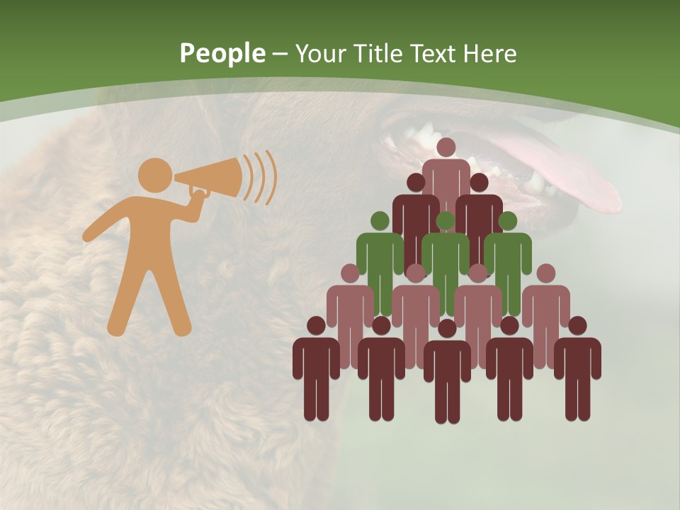 A Brown Dog Sitting On Top Of A Green Field PowerPoint Template