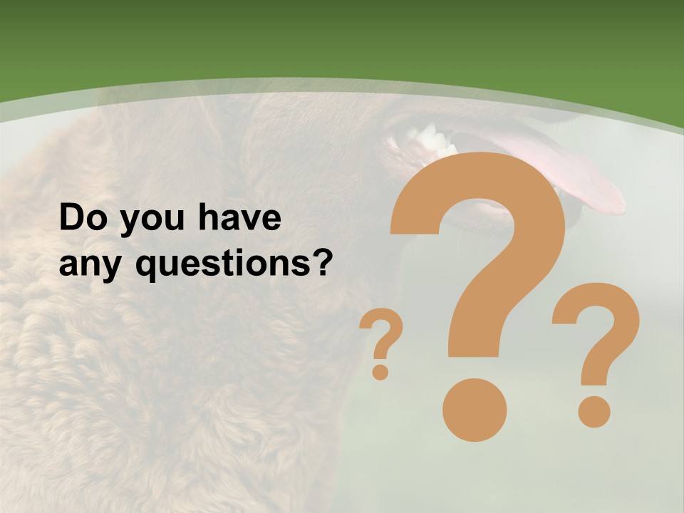 A Brown Dog Sitting On Top Of A Green Field PowerPoint Template