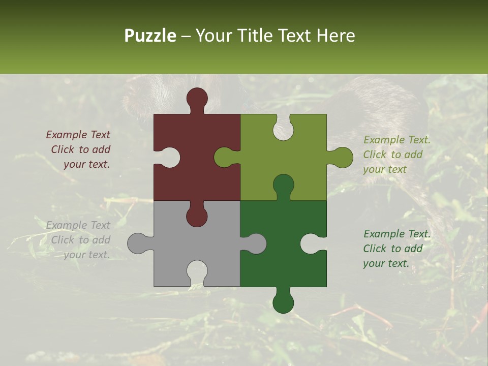 A Dog Standing In A Body Of Water PowerPoint Template