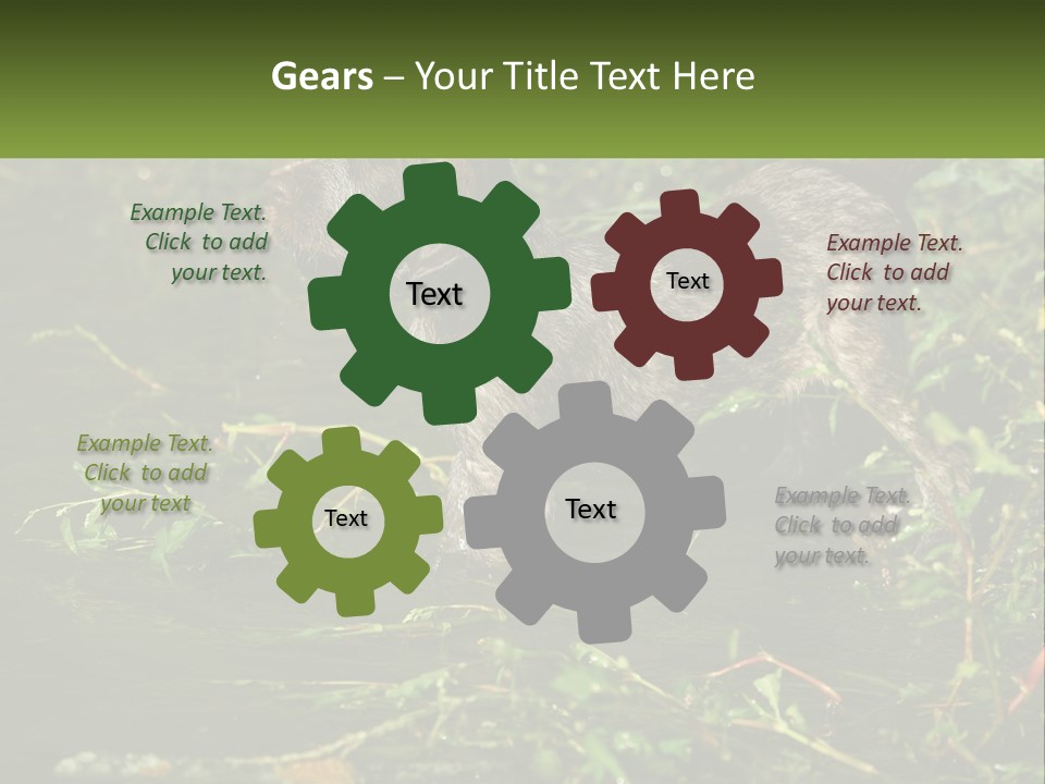 A Dog Standing In A Body Of Water PowerPoint Template