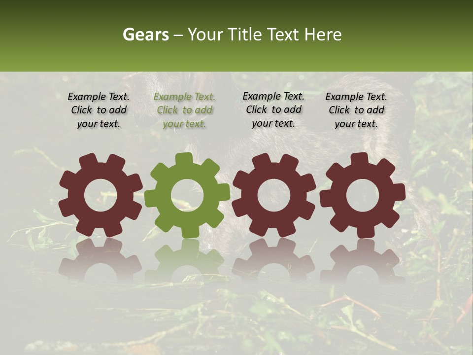 A Dog Standing In A Body Of Water PowerPoint Template