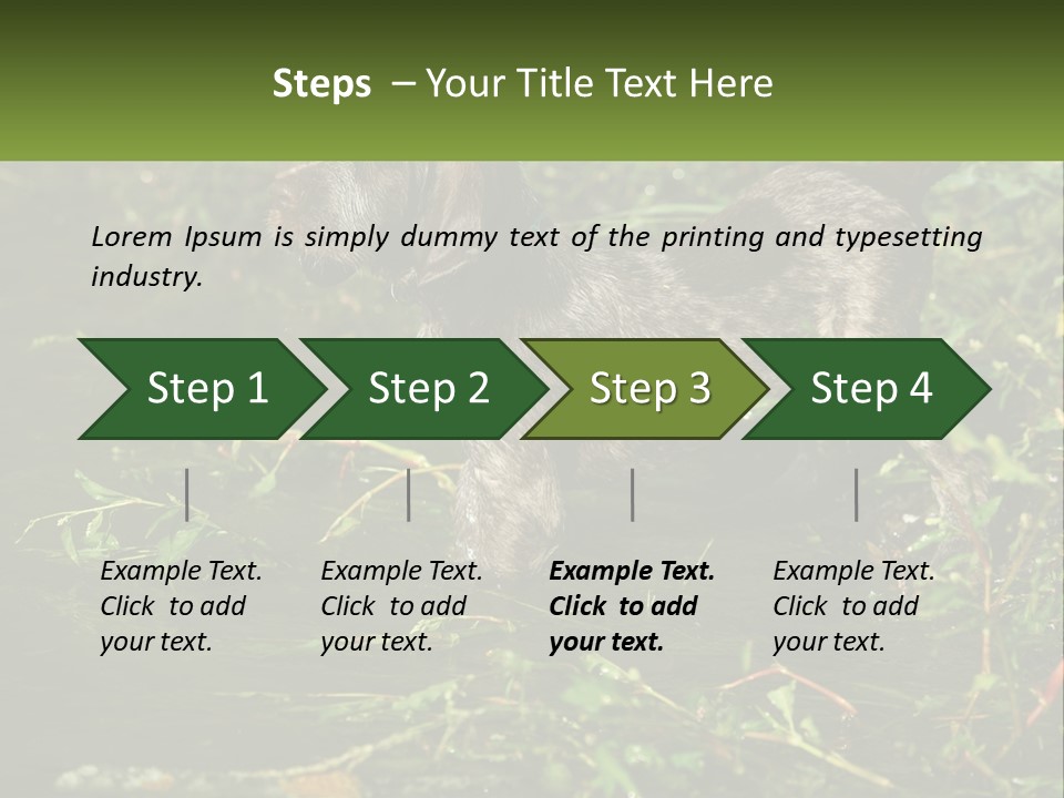 A Dog Standing In A Body Of Water PowerPoint Template